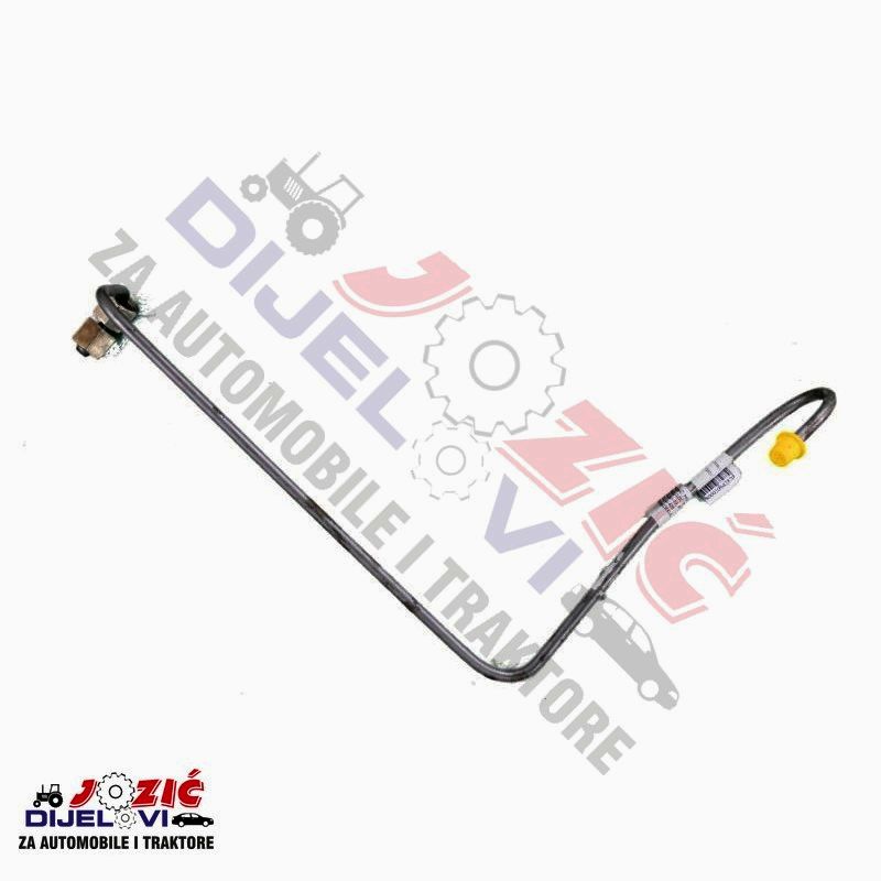 Daisy on the Ohoopee